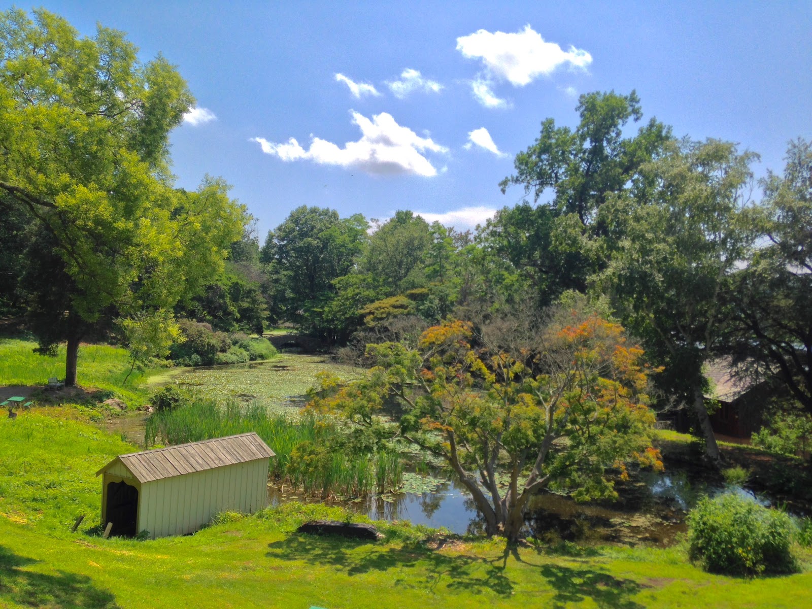 Photo of Cedarmere Park in Roslyn City, New York, United States - 1 Picture of Point of interest, Establishment, Park