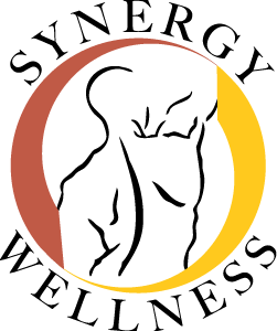 Photo of Synergy Wellness Chiropractic & Physical Therapy PLLC in New York City, New York, United States - 10 Picture of Point of interest, Establishment, Health