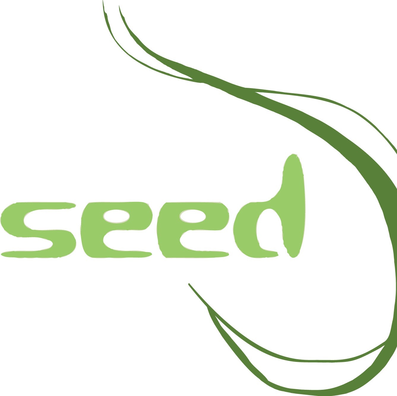 Photo of Seed Design in New York City, New York, United States - 1 Picture of Point of interest, Establishment