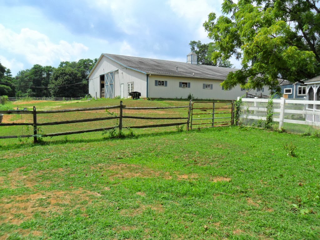 Photo of Dogs on the Farm & Cats Too in Atlantic Highlands City, New Jersey, United States - 1 Picture of Point of interest, Establishment, Park