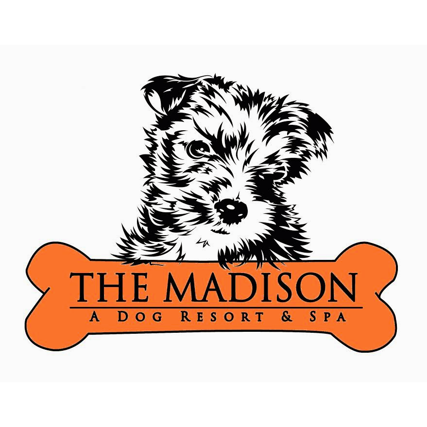 Photo of The Madison Dog Resort & Spa in Wayne City, New Jersey, United States - 4 Picture of Point of interest, Establishment, Store, Pet store, Park