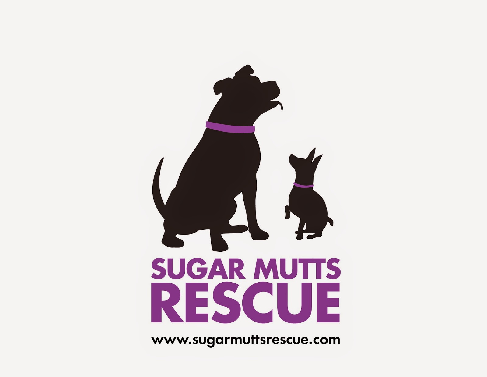 Photo of Sugar Mutts Rescue Dog Daycare / Boarding in Brooklyn City, New York, United States - 4 Picture of Point of interest, Establishment, Store