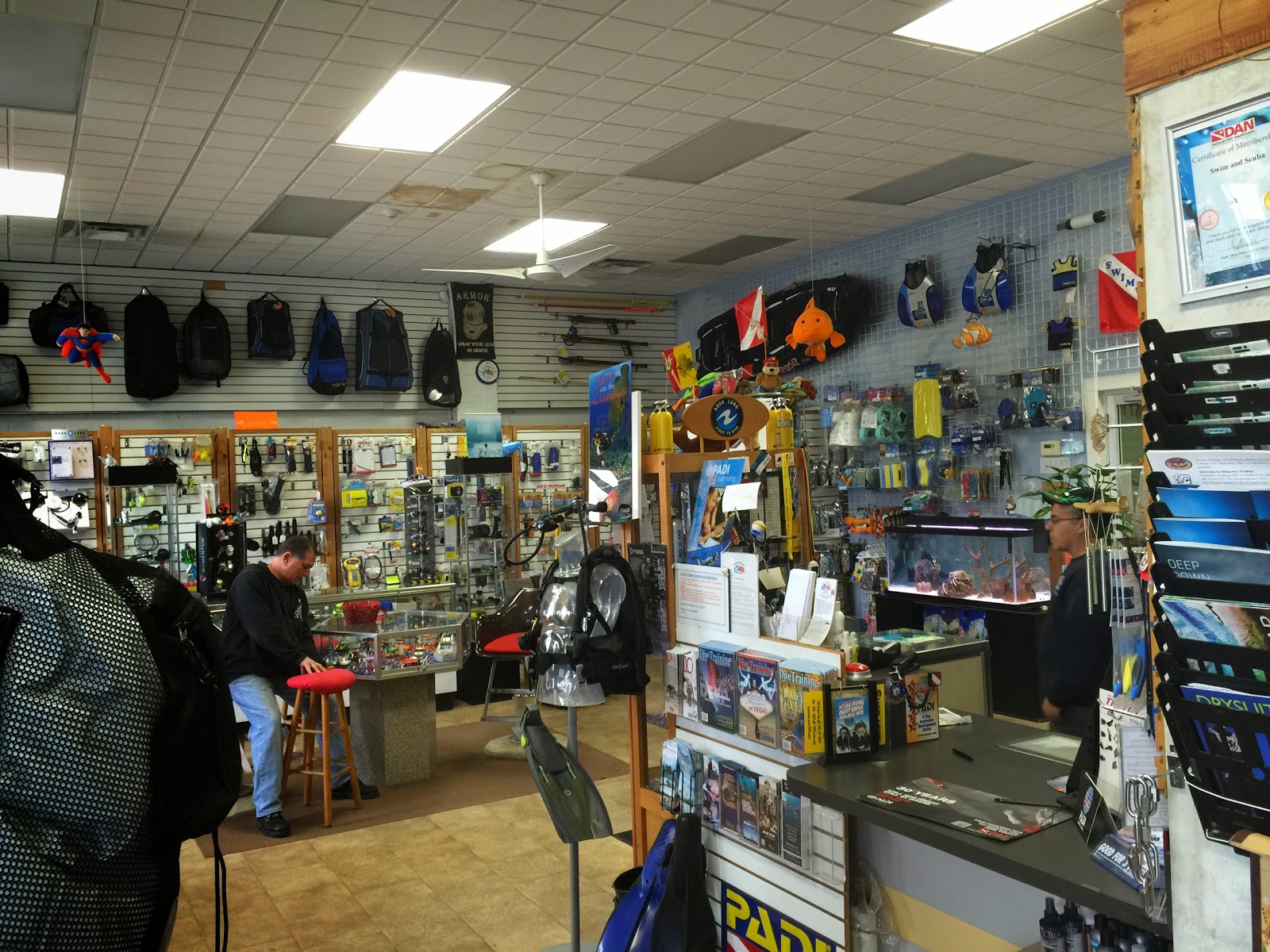 Photo of Swim and Scuba Long Island - Swimming and Scuba Instruction in Rockville Centre City, New York, United States - 10 Picture of Point of interest, Establishment, Store, Health
