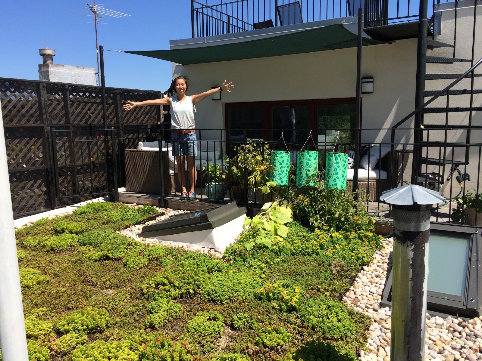 Photo of Brooklyn Greenroof LLC in Kings County City, New York, United States - 3 Picture of Point of interest, Establishment, General contractor