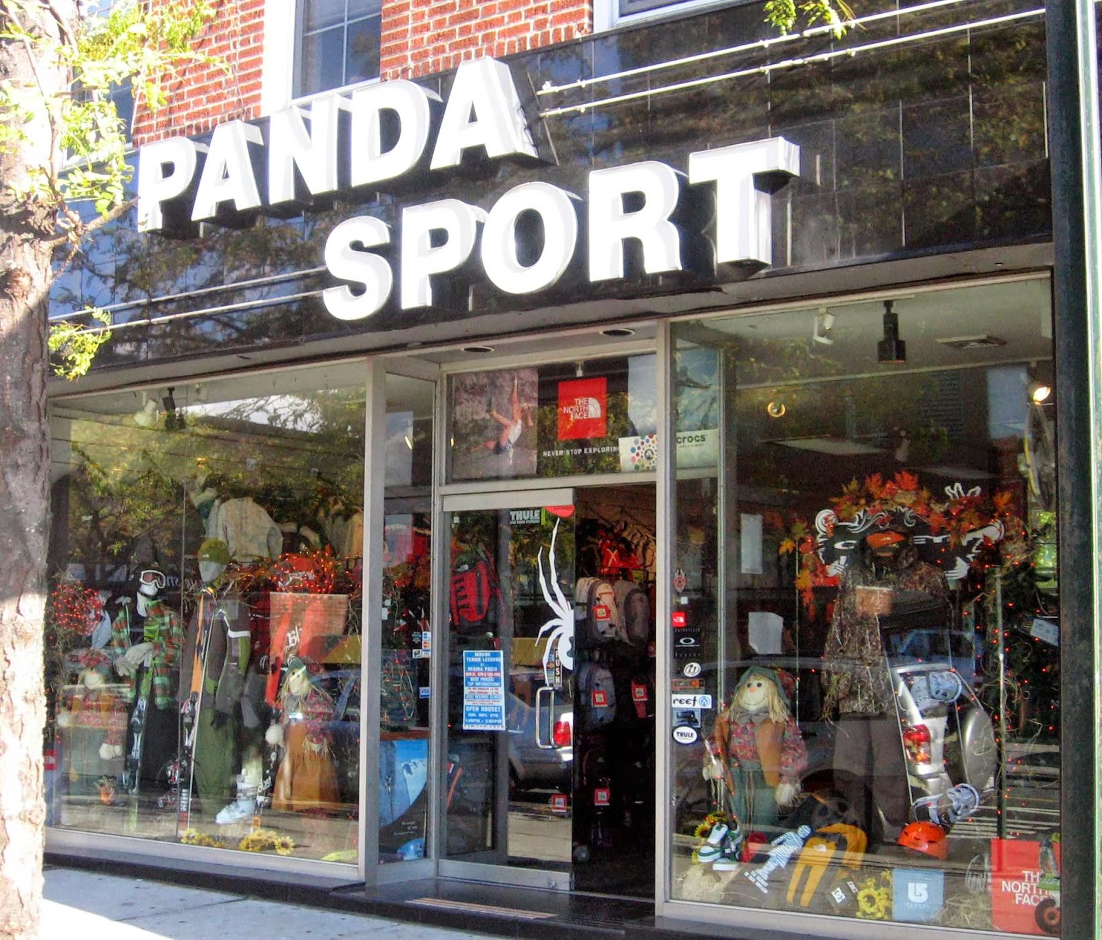 Photo of Panda Sport in Brooklyn City, New York, United States - 1 Picture of Point of interest, Establishment, Store