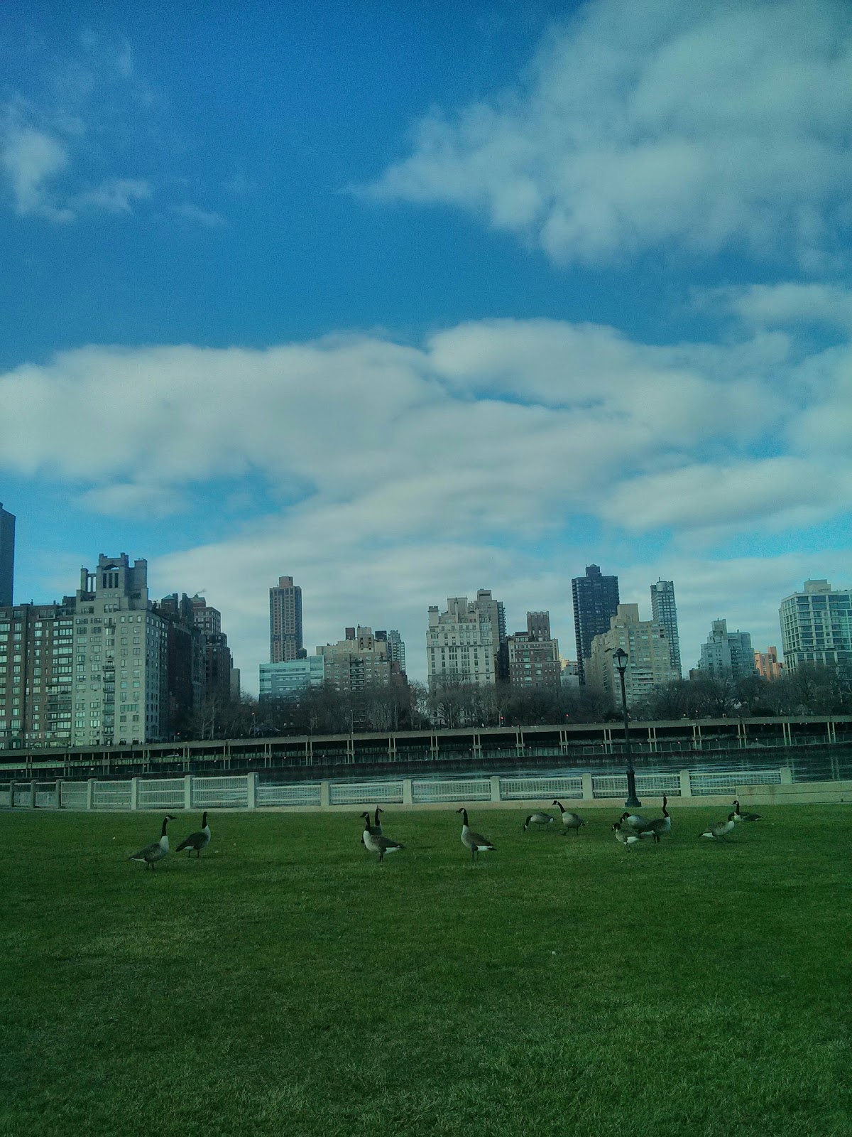 Photo of Lighthouse Park in New York City, New York, United States - 4 Picture of Point of interest, Establishment, Park