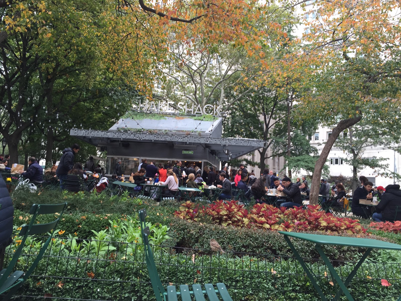 Photo of Shake Shack in New York City, New York, United States - 4 Picture of Restaurant, Food, Point of interest, Establishment, Store, Meal takeaway