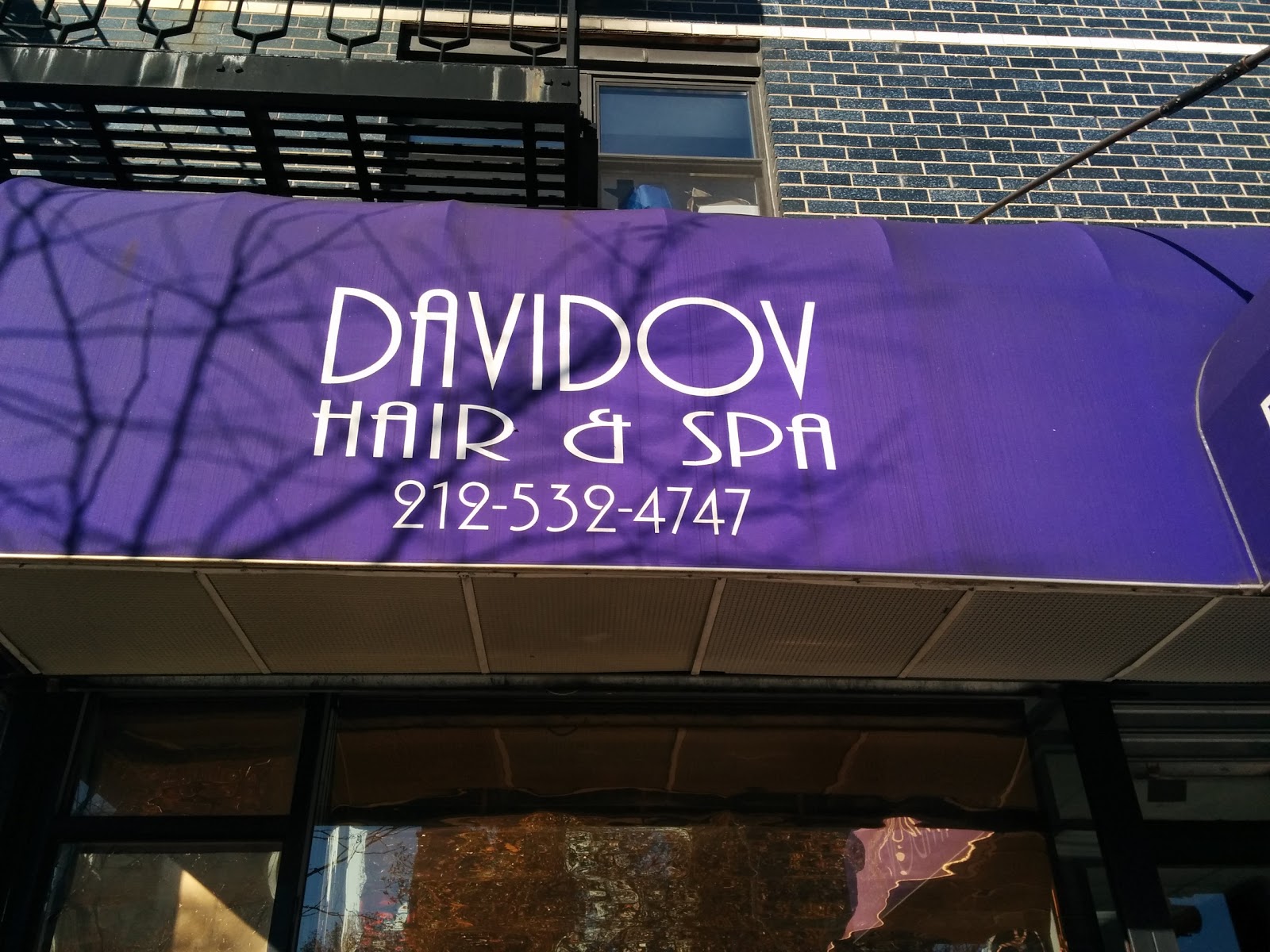 Photo of Davidov Hair & Spa in New York City, New York, United States - 2 Picture of Point of interest, Establishment, Beauty salon
