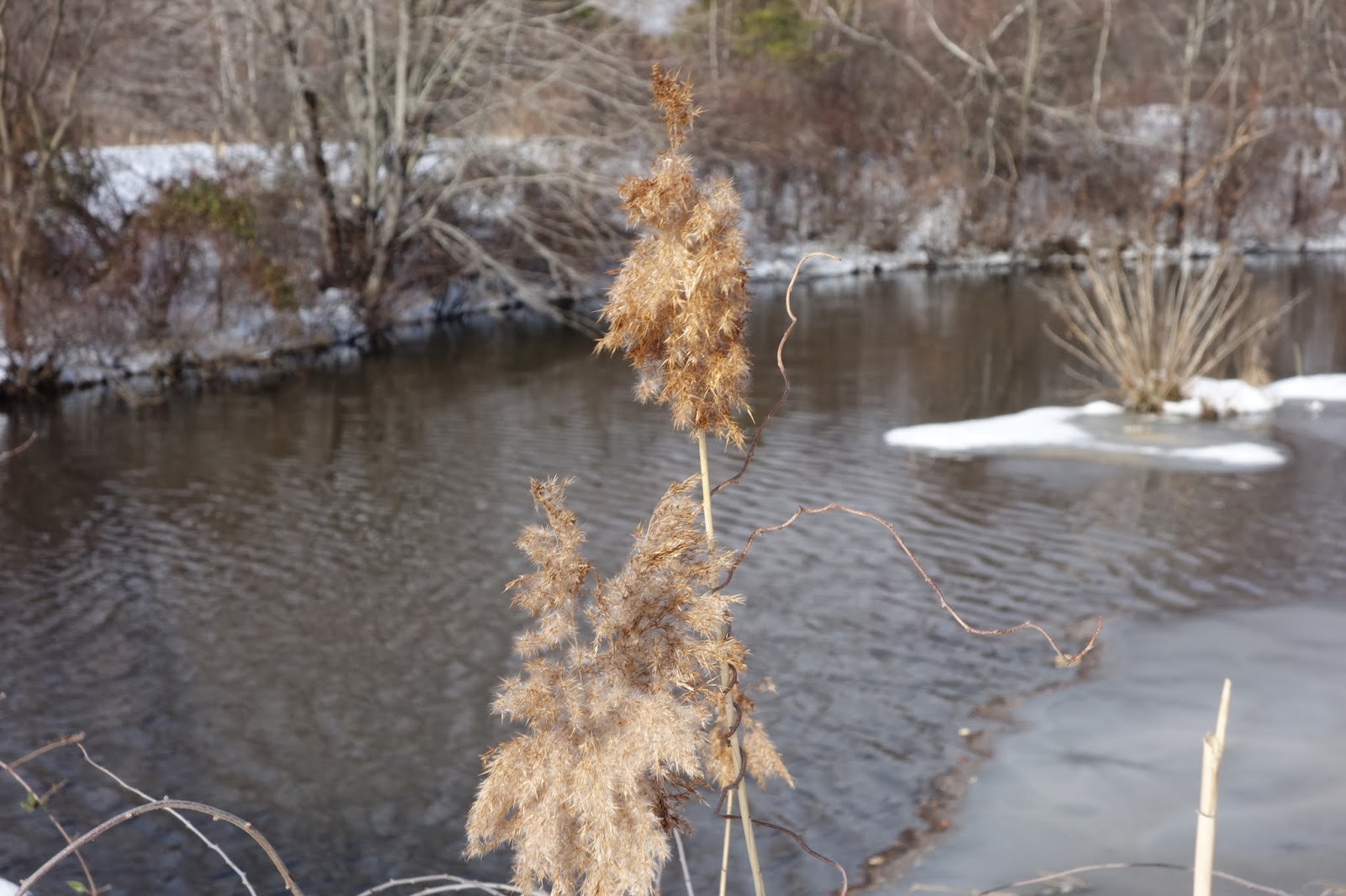 Photo of John F. Kennedy Memorial Park in Parlin City, New Jersey, United States - 2 Picture of Point of interest, Establishment, Park