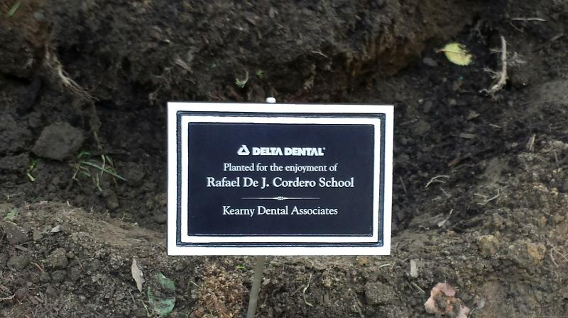 Photo of Kearny Dental Associates in Kearny City, New Jersey, United States - 9 Picture of Point of interest, Establishment, Health, Dentist