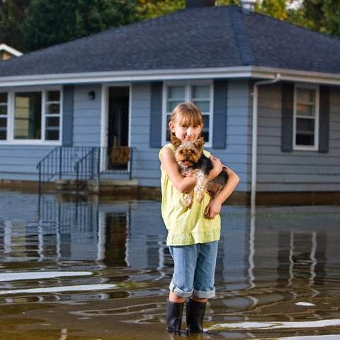 Photo of All American Public Adjusters in Queens City, New York, United States - 2 Picture of Point of interest, Establishment, Insurance agency