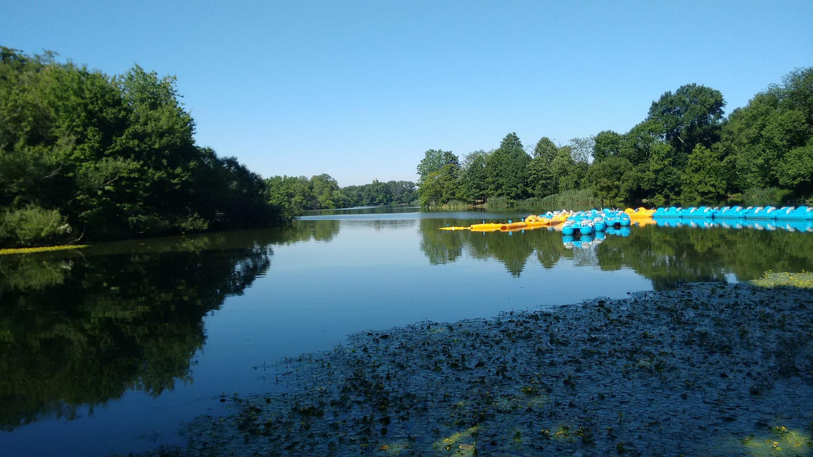 Photo of prospect park wetland in Kings County City, New York, United States - 6 Picture of Point of interest, Establishment, Park