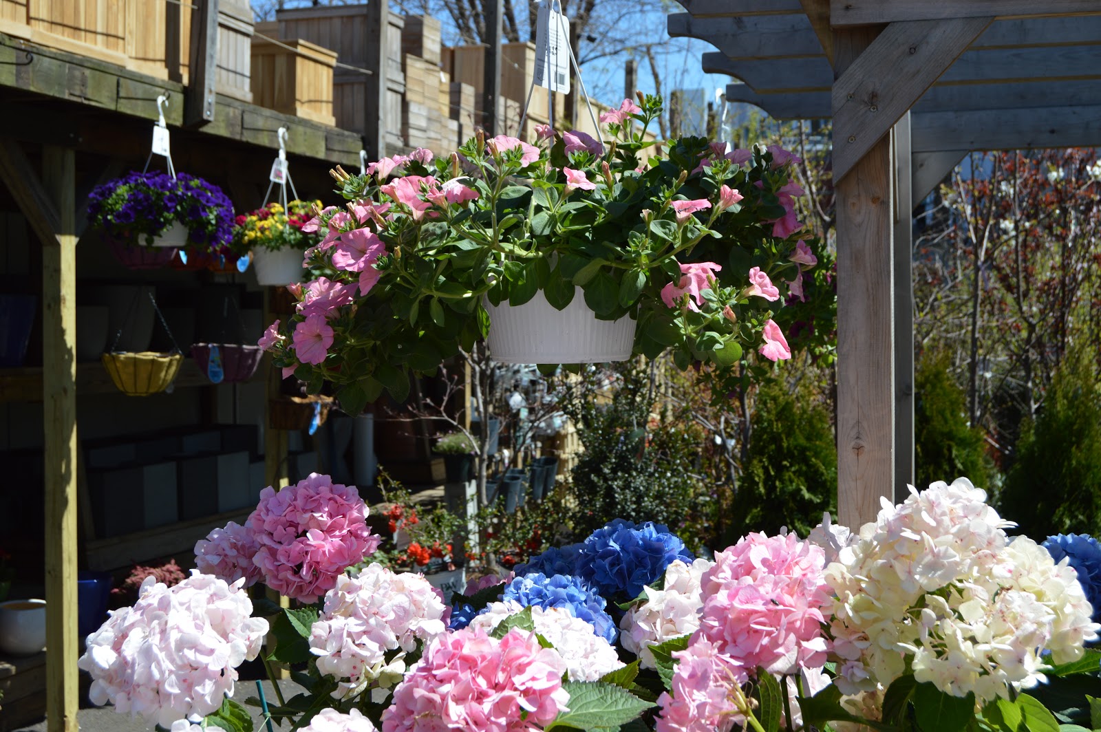 Photo of Chelsea Garden Center Williamsburg in Brooklyn City, New York, United States - 7 Picture of Food, Point of interest, Establishment, Store, Home goods store, General contractor, Park