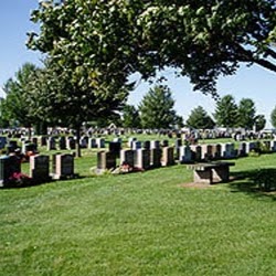 Photo of Catholic Cemeteries in Middle Village City, New York, United States - 1 Picture of Point of interest, Establishment, Cemetery