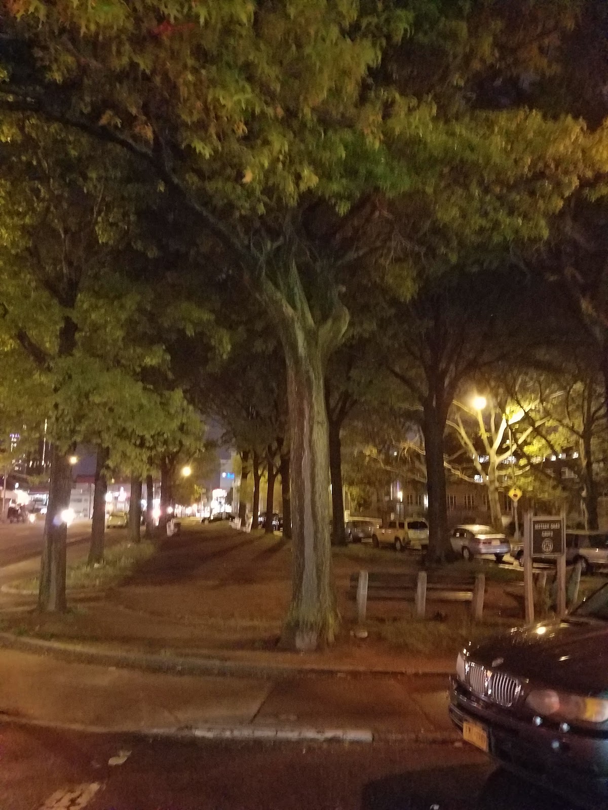 Photo of Sixteen Oaks Grove in New York City, New York, United States - 2 Picture of Point of interest, Establishment, Park