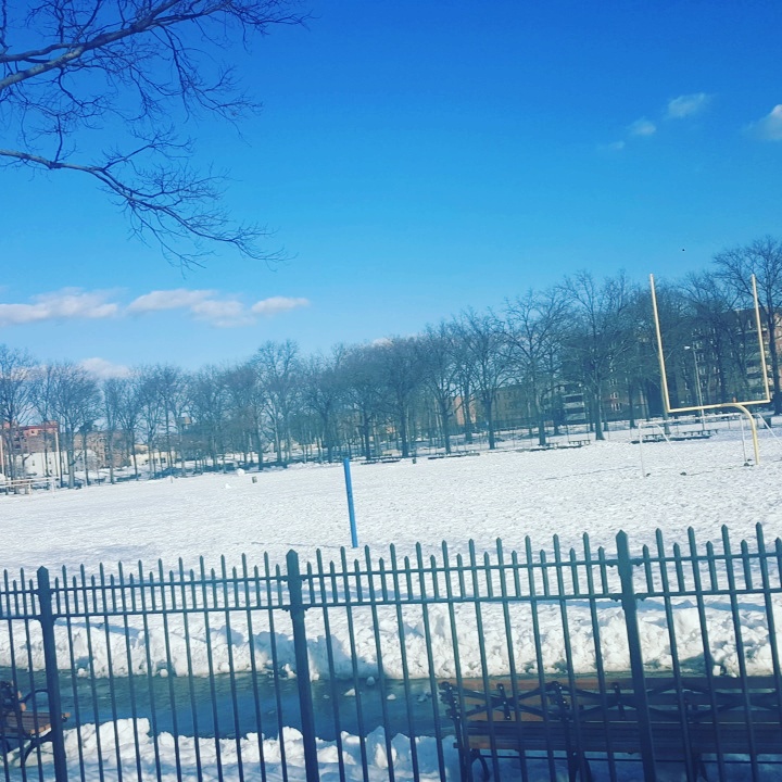 Photo of Williamsbridge Oval in Bronx City, New York, United States - 3 Picture of Point of interest, Establishment, Park