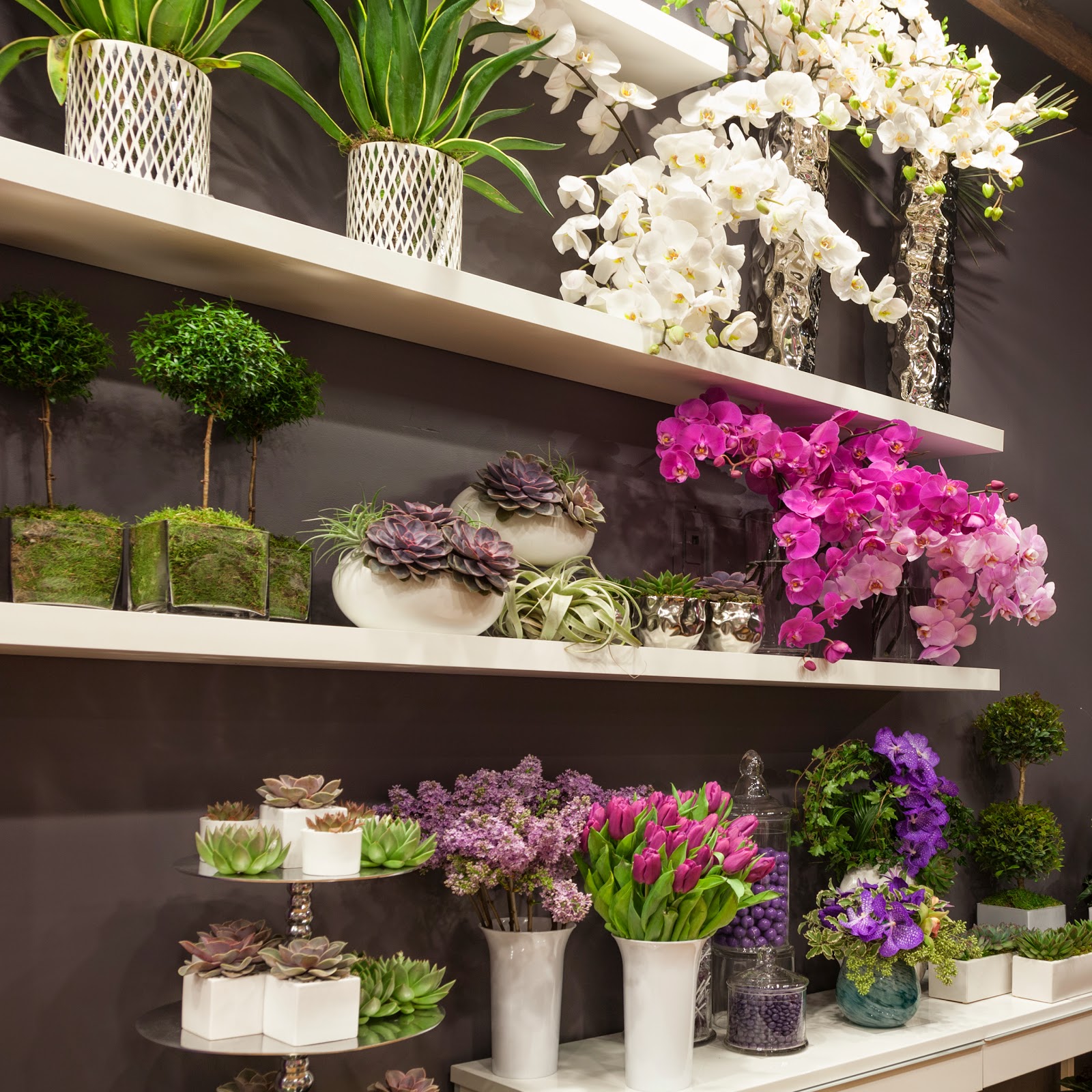 Photo of Flourish NY in Brooklyn City, New York, United States - 5 Picture of Point of interest, Establishment, Store, General contractor, Florist
