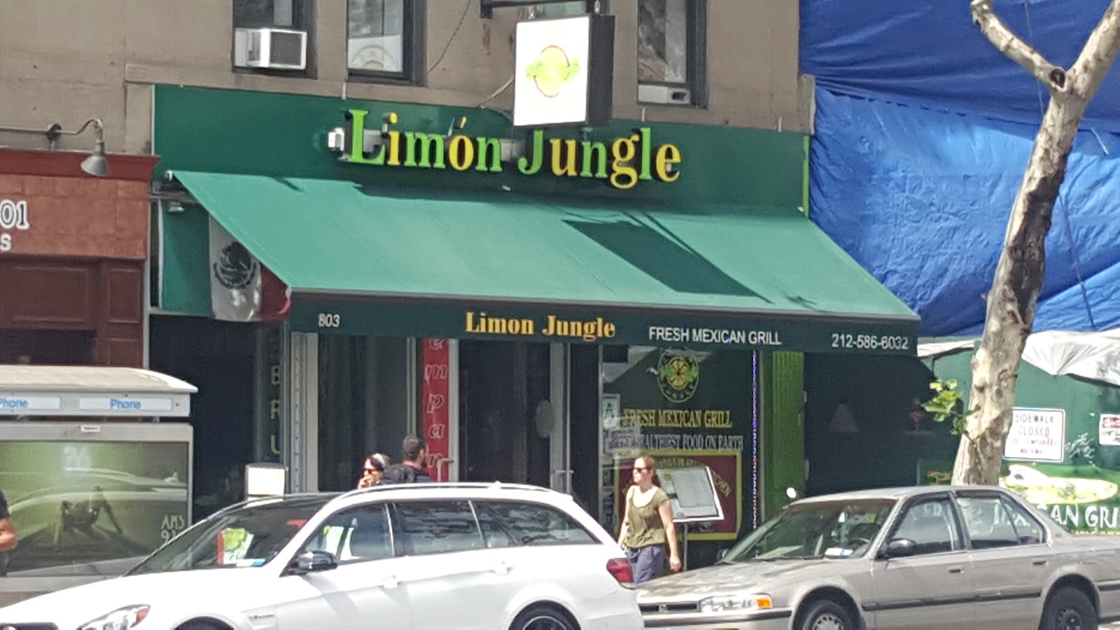 Photo of Limon Jungle in New York City, New York, United States - 8 Picture of Restaurant, Food, Point of interest, Establishment, Bar