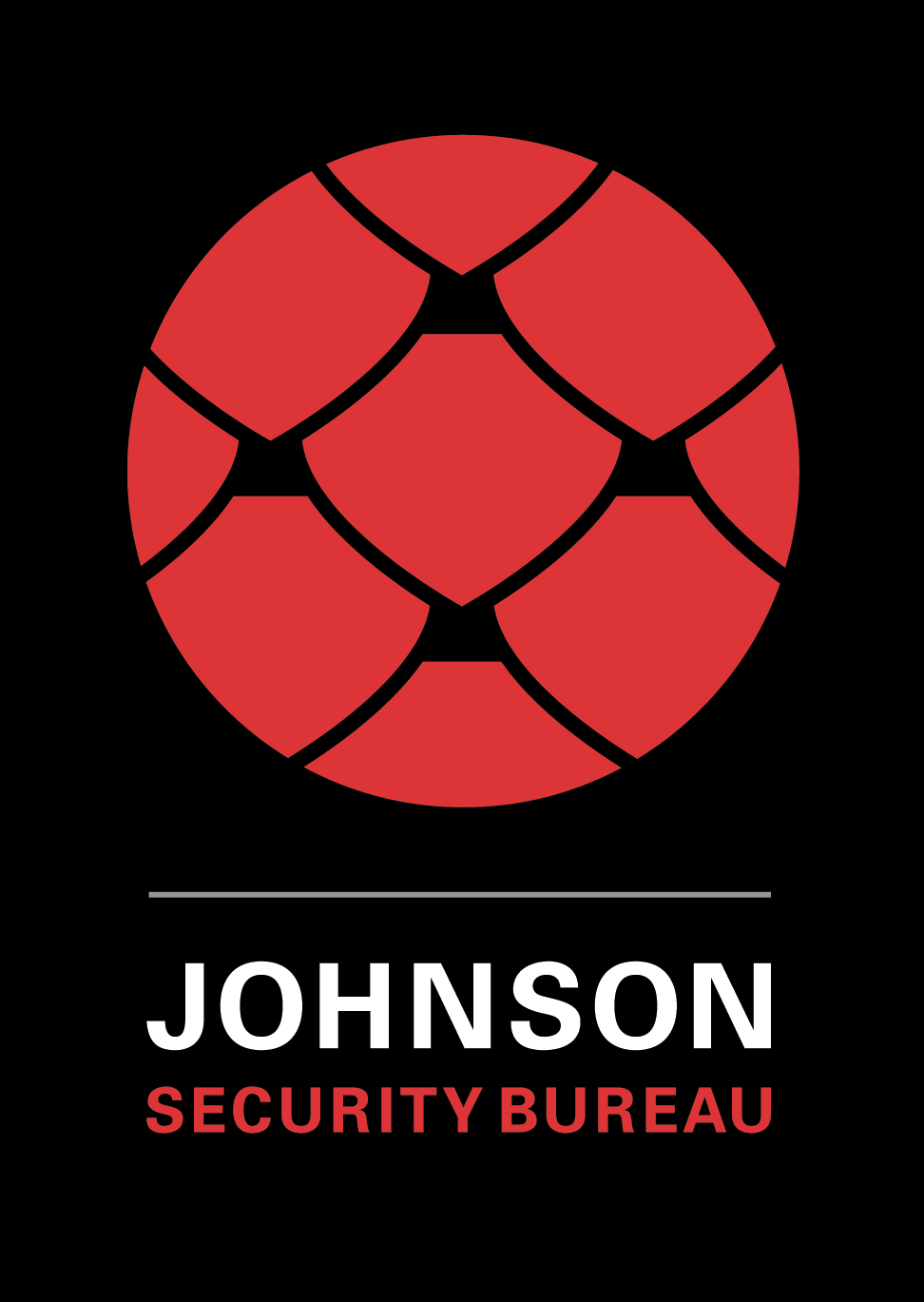 Photo of Johnson Security Bureau, Inc. in Bronx City, New York, United States - 3 Picture of Point of interest, Establishment