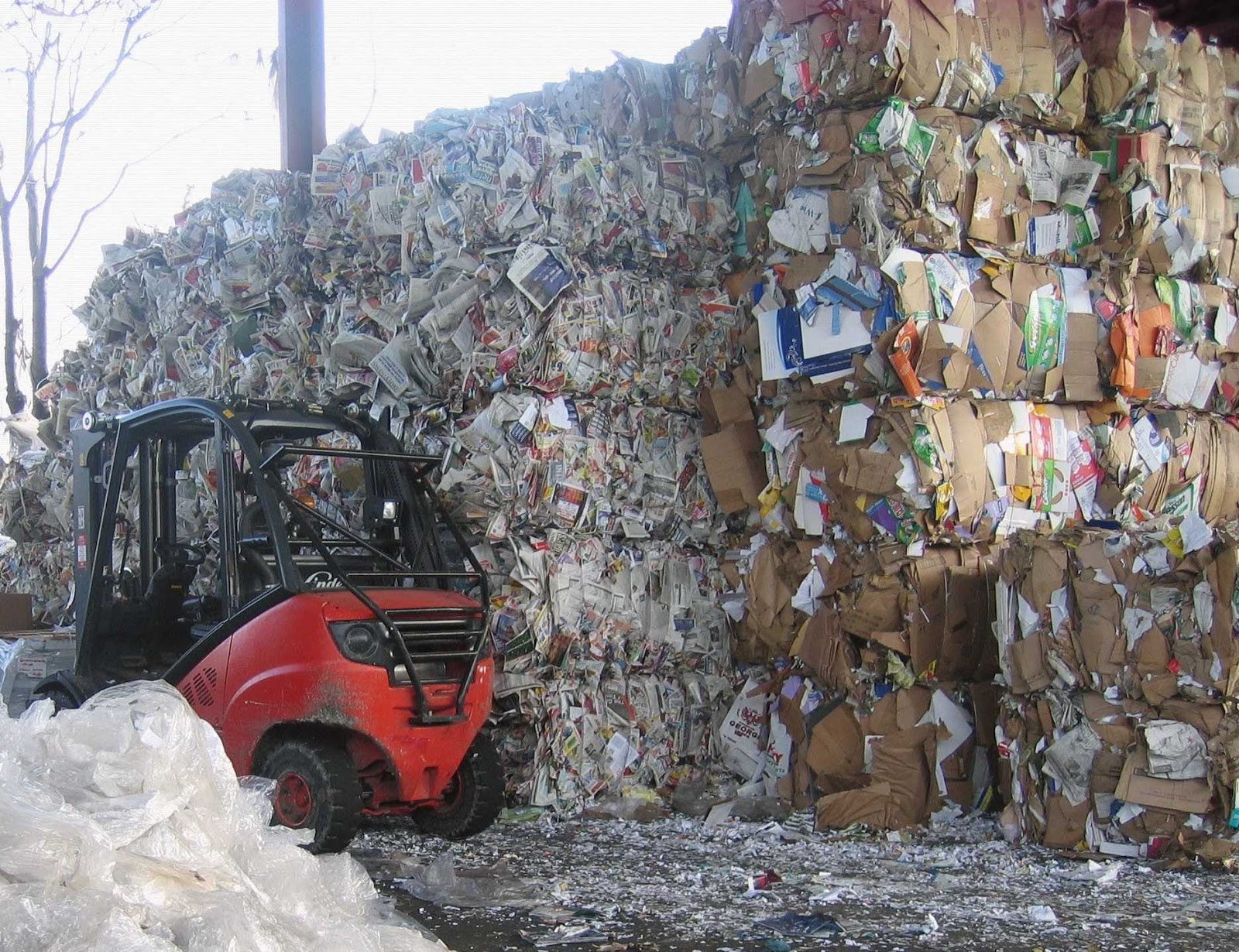 Photo of Empire State Cardboard Paper Recycling Corp. in Queens City, New York, United States - 2 Picture of Point of interest, Establishment