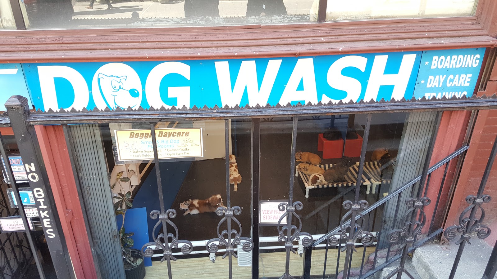 Photo of Dog Wash Doggie Daycare & Boarding NYC in New York City, New York, United States - 1 Picture of Point of interest, Establishment