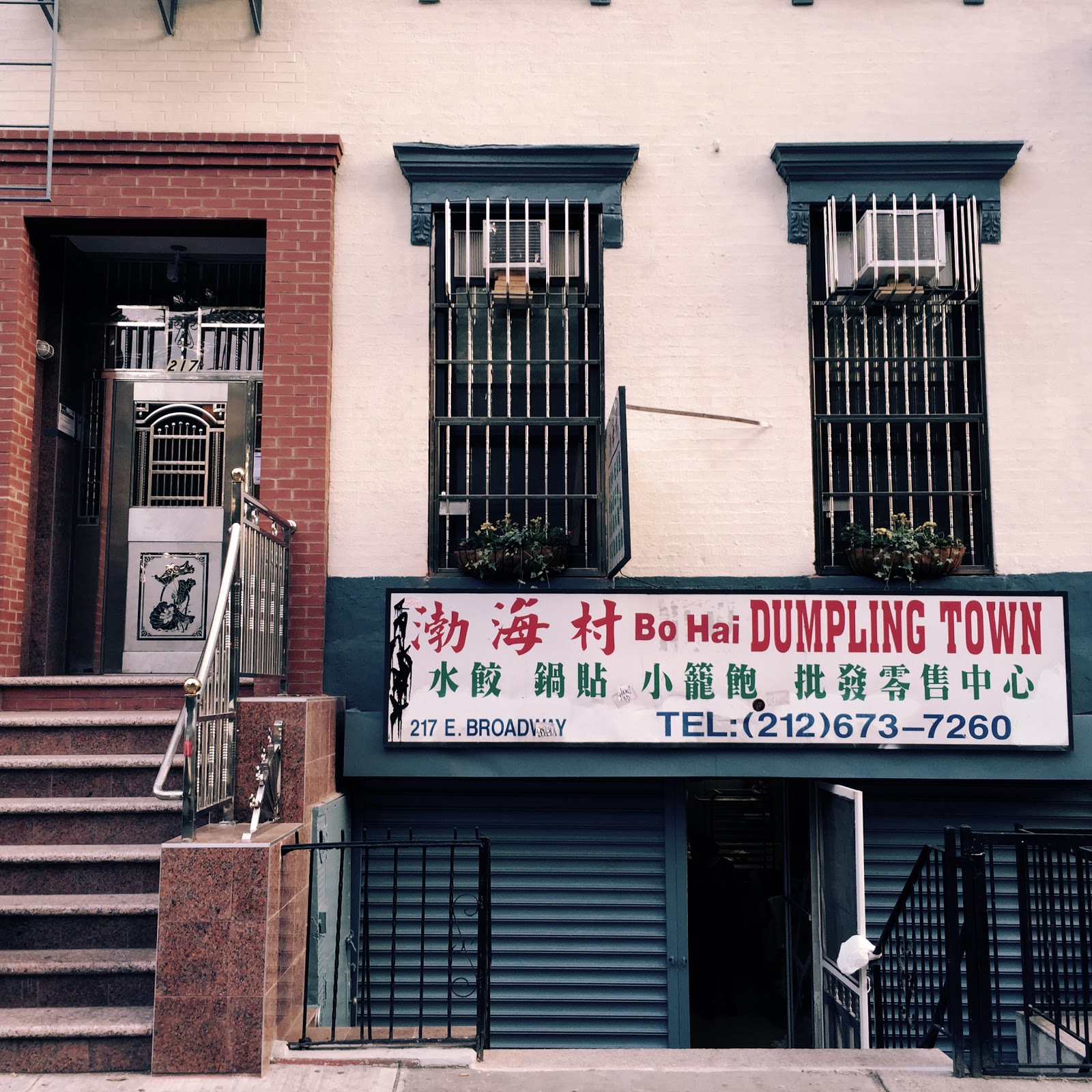 Photo of New Dumpling Town in New York City, New York, United States - 1 Picture of Restaurant, Food, Point of interest, Establishment