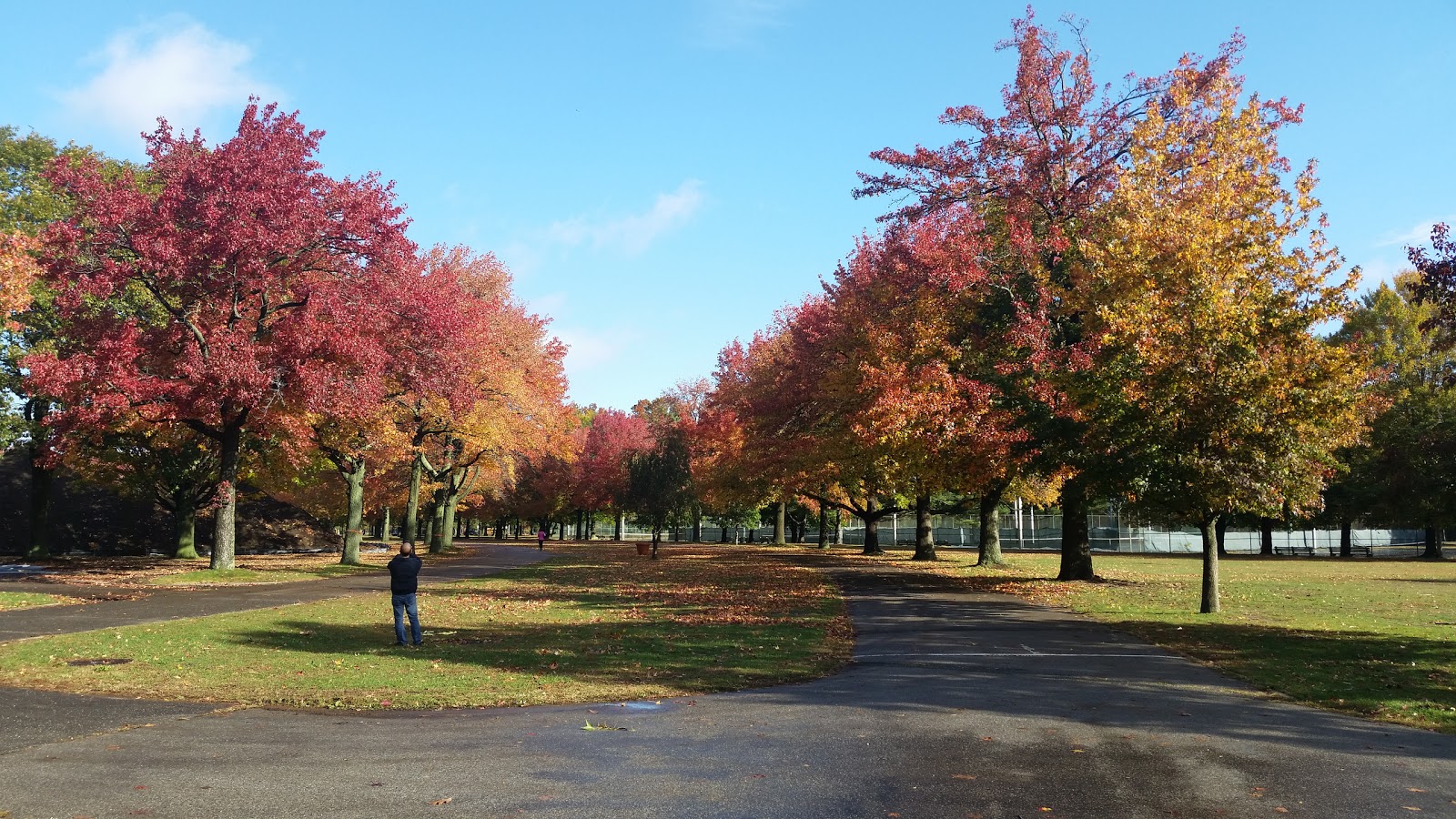 Photo of Eisenhower Park in East Meadow City, New York, United States - 9 Picture of Point of interest, Establishment, Park