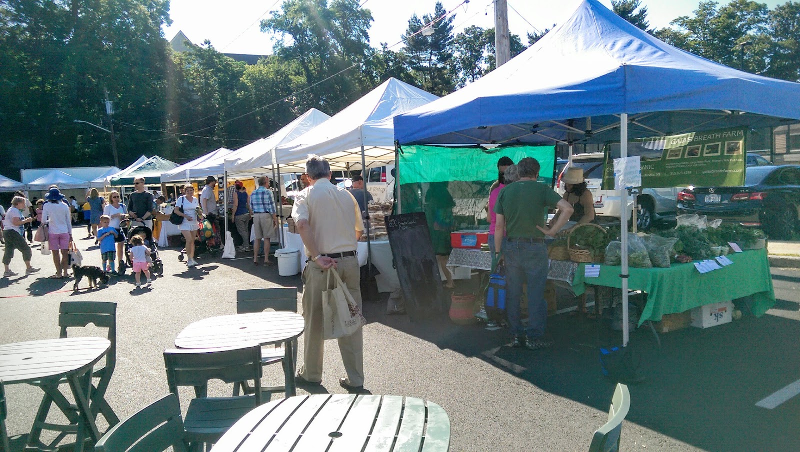 Photo of Bronxville Saturday Farmer Market in Bronxville City, New York, United States - 9 Picture of Food, Point of interest, Establishment, Store, Grocery or supermarket