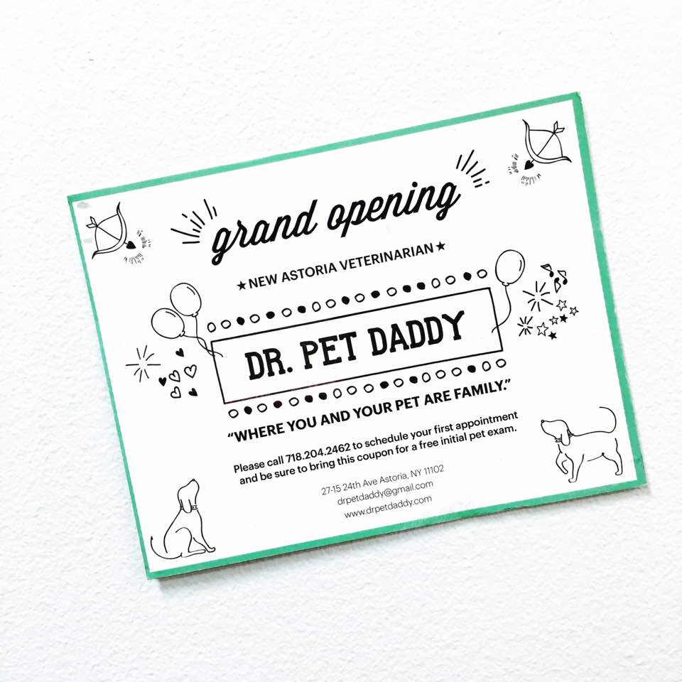 Photo of Dr. Pet Daddy Veterinarian, P.C. | Smart Easy Affordable Animal Hospital in Queens City, New York, United States - 7 Picture of Point of interest, Establishment, Veterinary care