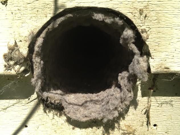 Photo of Air Duct NYC - Duct Cleaning NYC in Bronx City, New York, United States - 2 Picture of Point of interest, Establishment, Laundry