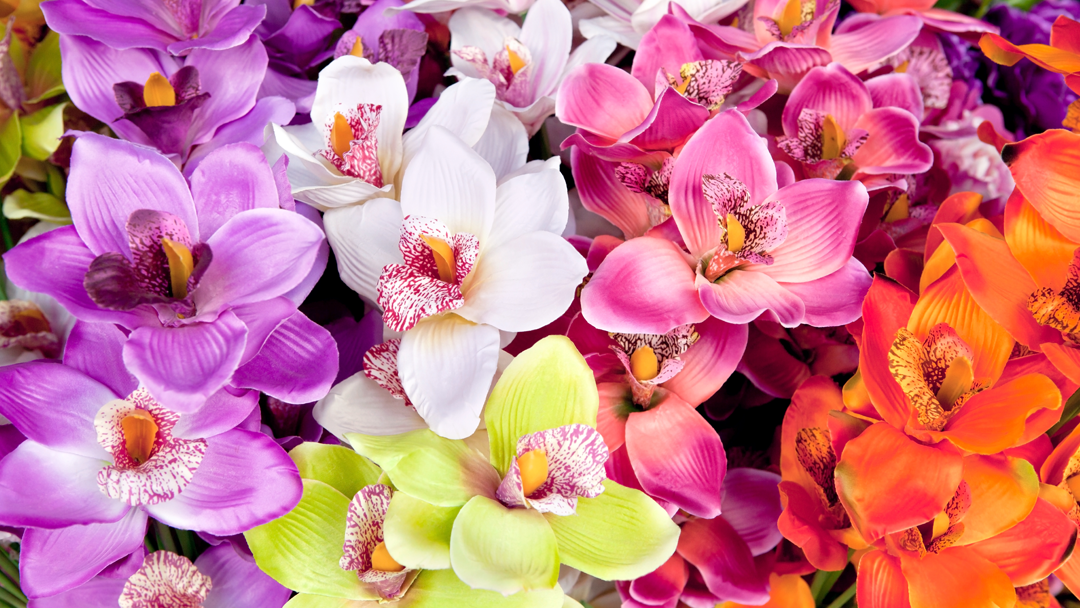 Photo of Bouquets and Baskets in Jersey City, New Jersey, United States - 2 Picture of Point of interest, Establishment, Store, Florist