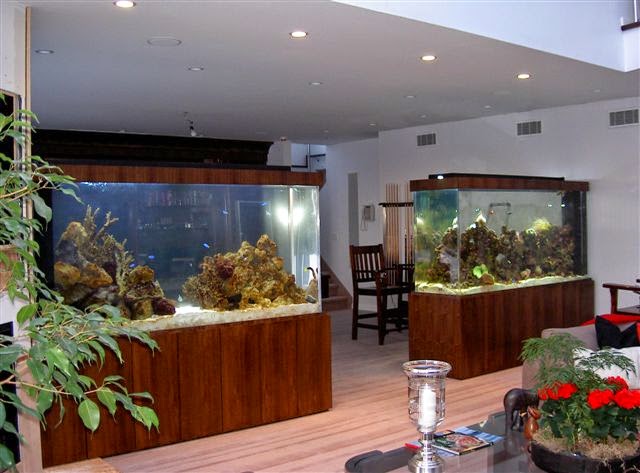 Photo of Aquarius Aquariums in New York City, New York, United States - 2 Picture of Point of interest, Establishment, Store, Pet store