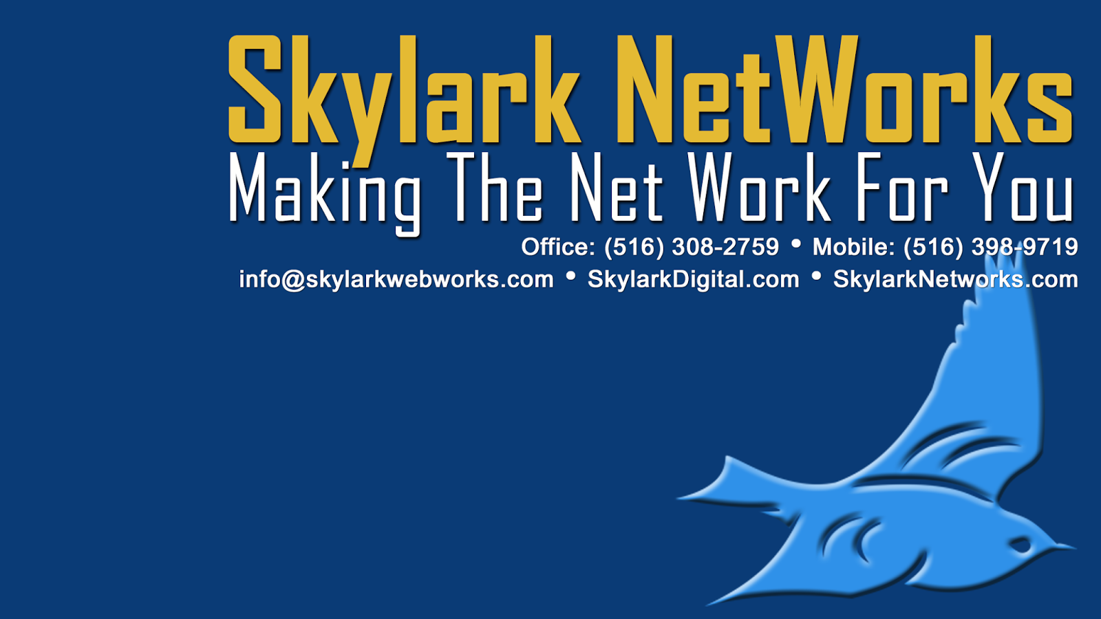 Photo of Skylark NetWorks in Valley Stream City, New York, United States - 1 Picture of Point of interest, Establishment