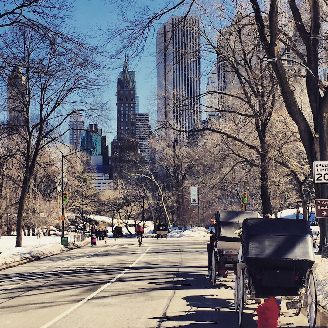 Photo of Central Park Carriage Rides in Manhattan City, New York, United States - 2 Picture of Point of interest, Establishment, Travel agency