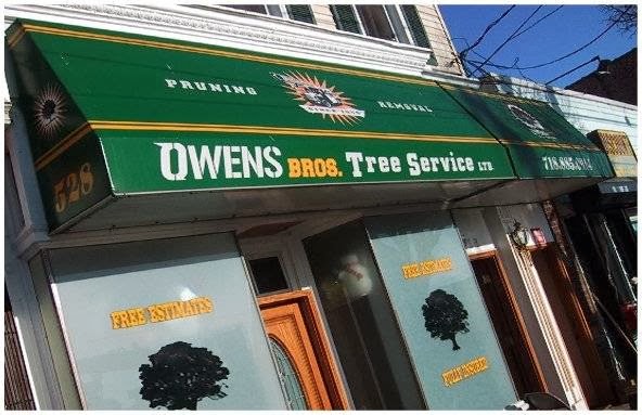 Photo of Owens Brothers Tree Service in Bronx City, New York, United States - 4 Picture of Point of interest, Establishment