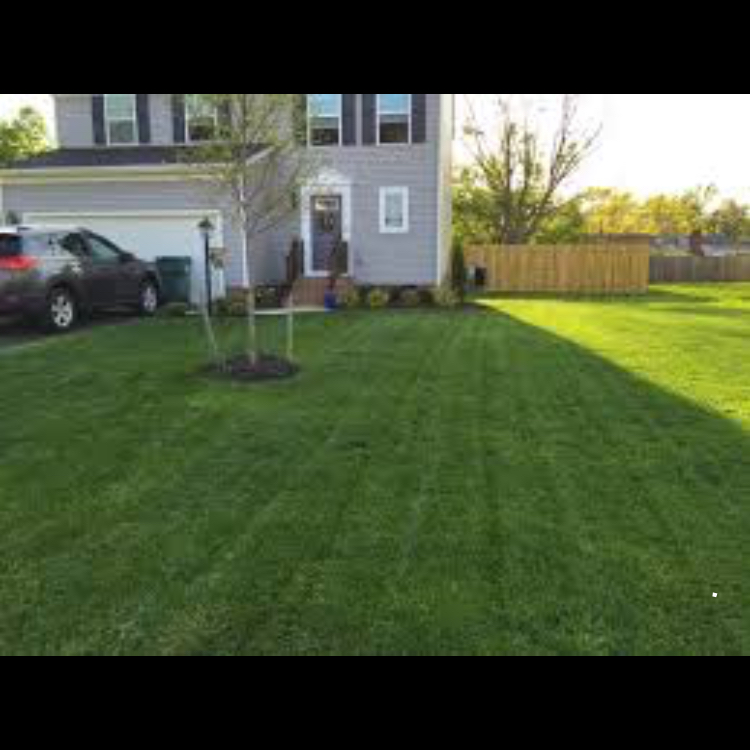 Photo of Hygienic Lawn Care Services in Perth Amboy City, New Jersey, United States - 1 Picture of Point of interest, Establishment