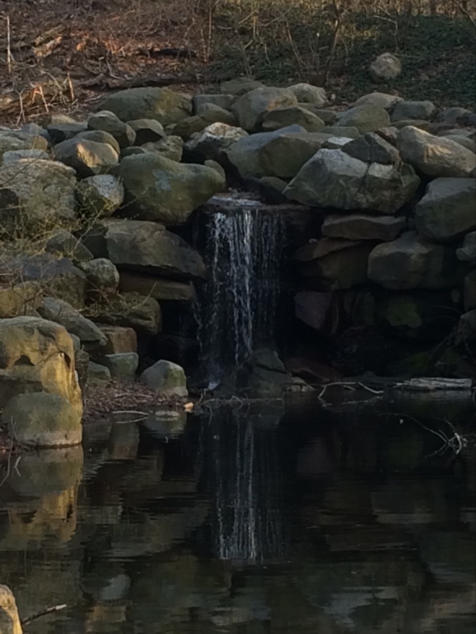 Photo of Prospect Park Dog Beach in Kings County City, New York, United States - 6 Picture of Point of interest, Establishment