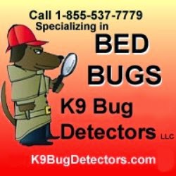 Photo of K9 Bug Detectors in Kings County City, New York, United States - 1 Picture of Point of interest, Establishment, Store, Home goods store