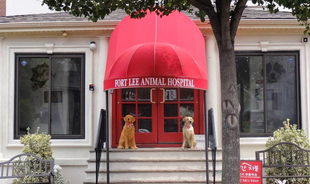 Photo of RED ROOF Fort Lee Animal Hospital in Fort Lee City, New Jersey, United States - 1 Picture of Point of interest, Establishment, Health, Veterinary care