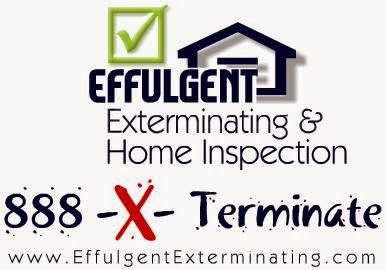 Photo of Effulgent Exterminating & Home Inspection in New York City, New York, United States - 1 Picture of Point of interest, Establishment, Store, Home goods store