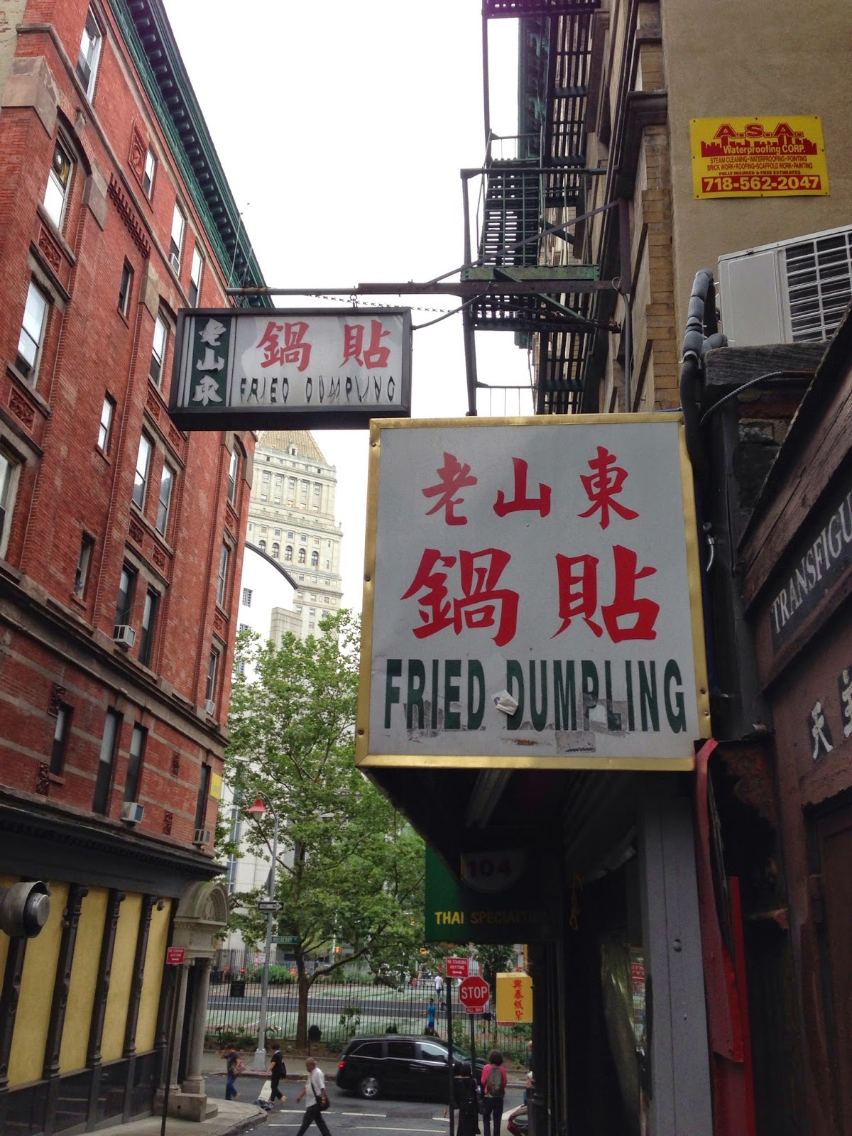 Photo of Fried Dumpling in New York City, New York, United States - 1 Picture of Restaurant, Food, Point of interest, Establishment