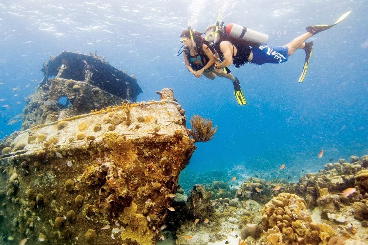 Photo of Adventure Scuba Inc in New York City, New York, United States - 1 Picture of Point of interest, Establishment, Store, Clothing store