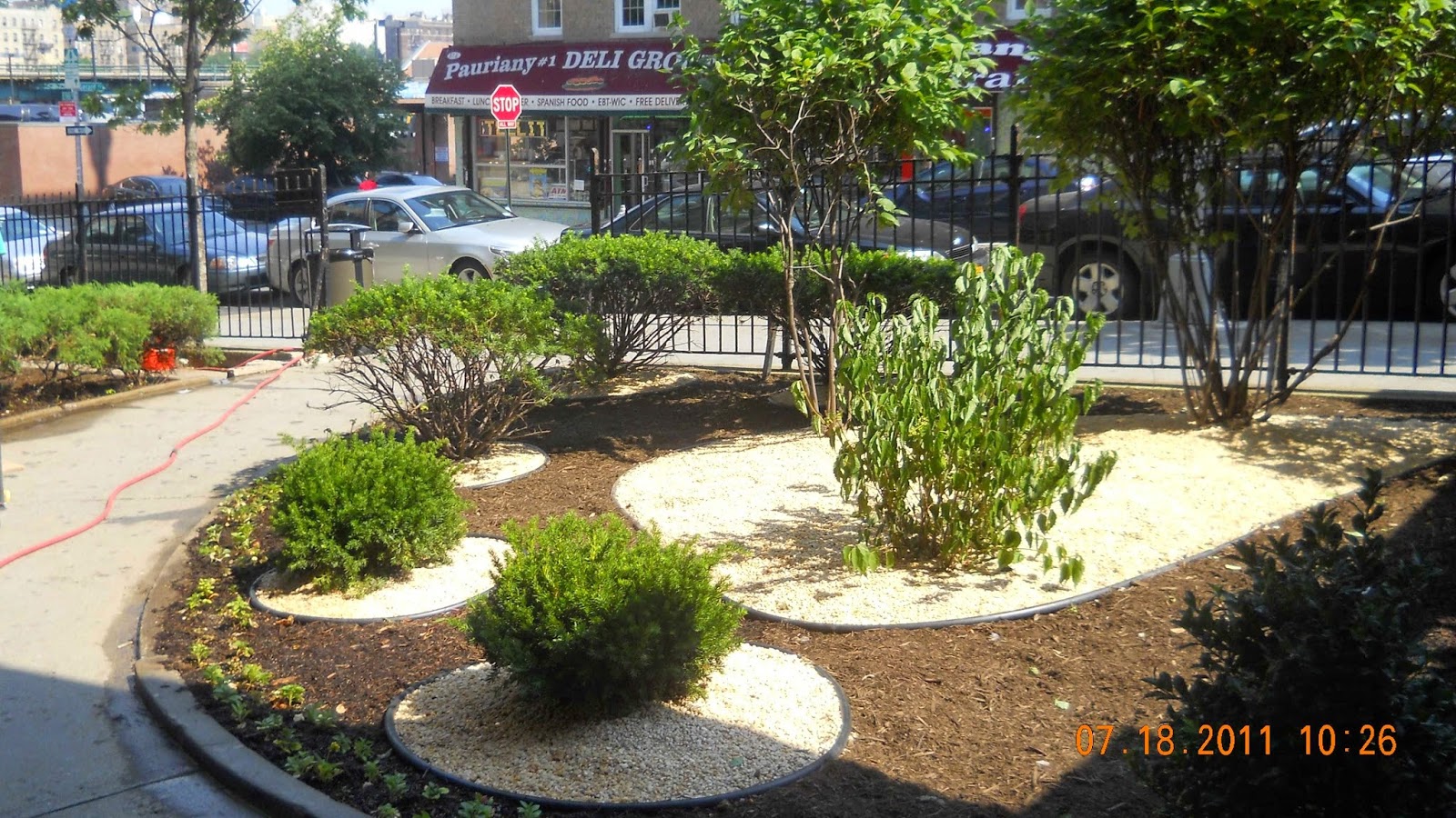 Photo of Manhattan Landscape Company in New York City, New York, United States - 1 Picture of Point of interest, Establishment, General contractor
