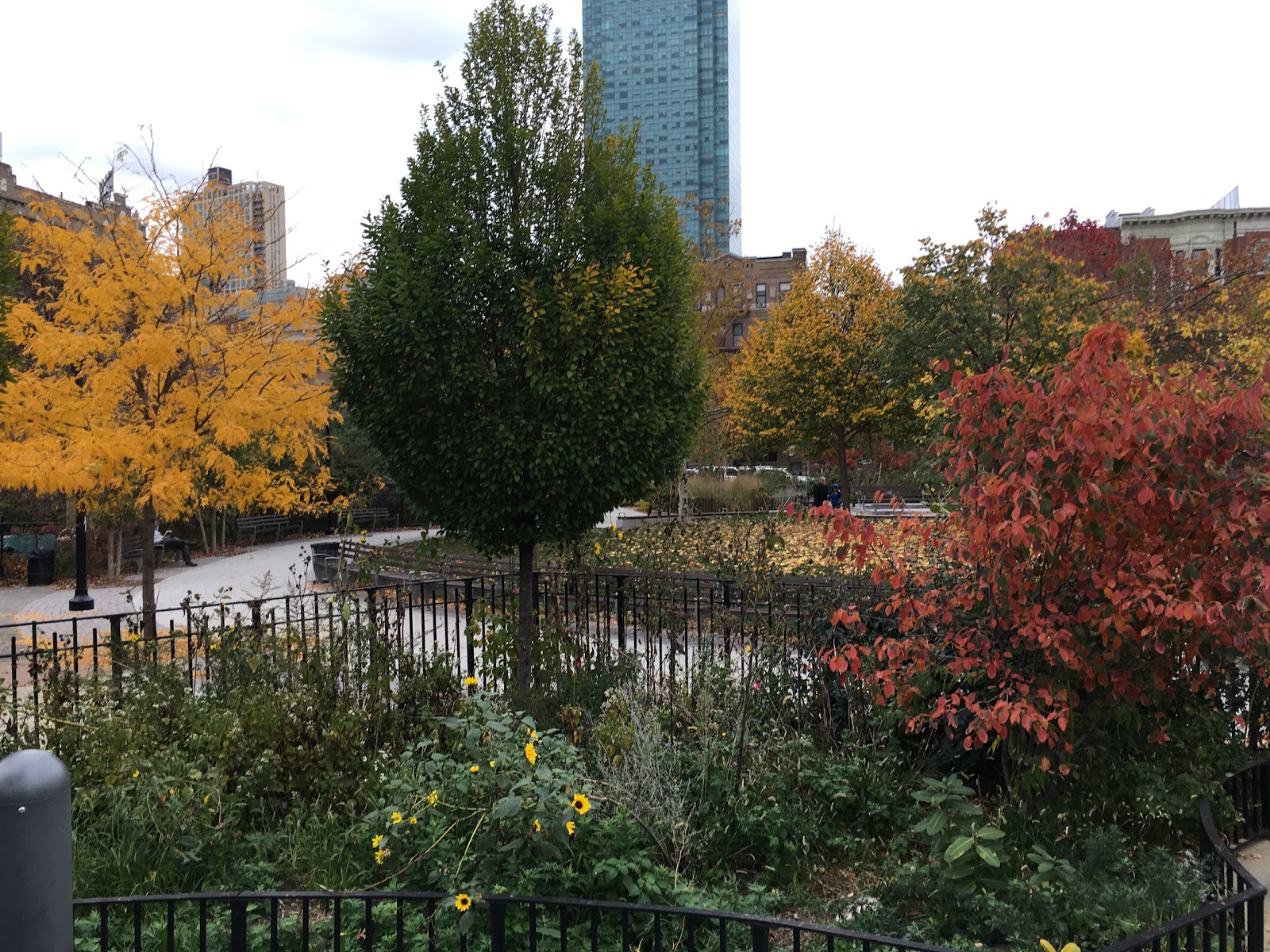 Photo of John F Murray Playground in Queens City, New York, United States - 3 Picture of Point of interest, Establishment, Park