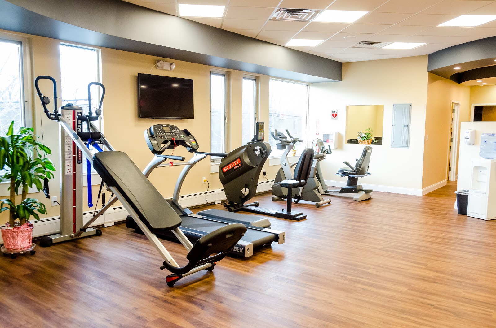 Photo of Specialized Physical Therapy + Wellness in Fair Lawn City, New Jersey, United States - 3 Picture of Point of interest, Establishment, Health