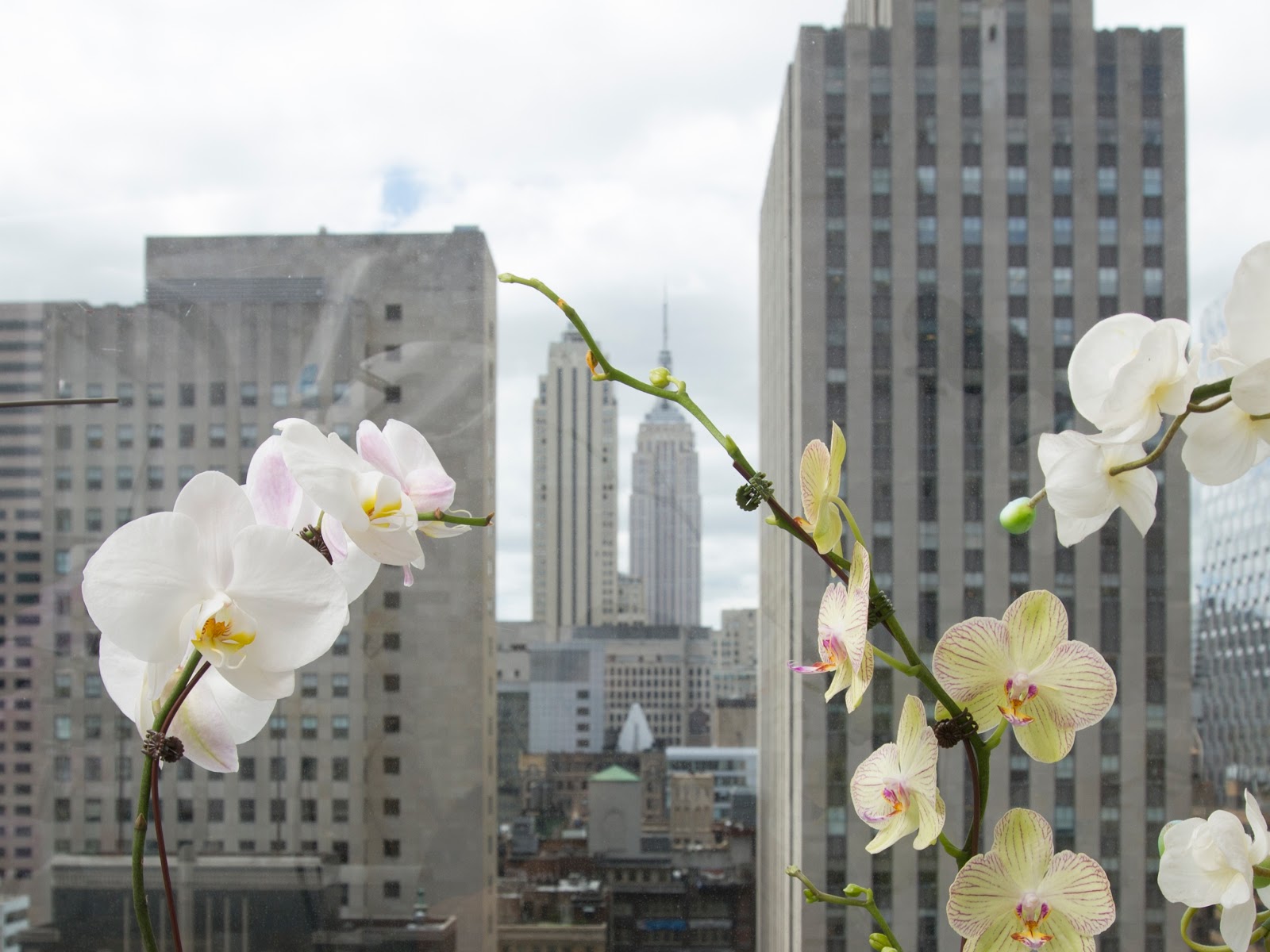 Photo of Preserve Your Teeth - Dentistry - Rockefeller Center - Dr Alice Urbankova in New York City, New York, United States - 7 Picture of Point of interest, Establishment, Health, Dentist