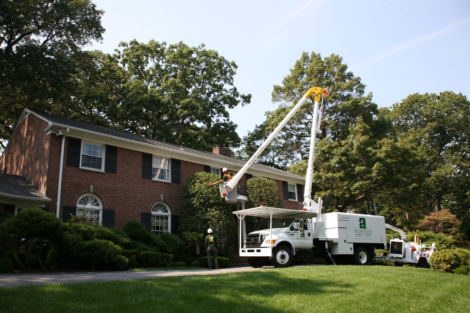 Photo of Almstead Tree, Shrub & Lawn Care Co. in New Rochelle City, New York, United States - 1 Picture of Point of interest, Establishment, General contractor