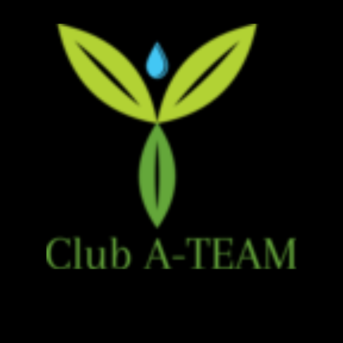 Photo of Club A-Team (Herbalife Independent Member) in Queens City, New York, United States - 3 Picture of Point of interest, Establishment, Health
