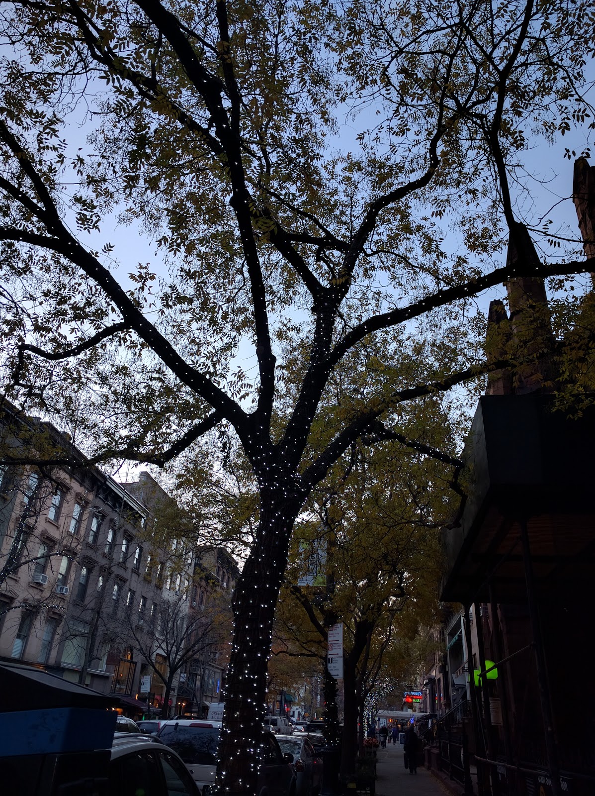 Photo of St Ann & the Holy Trinity Church in Brooklyn City, New York, United States - 3 Picture of Point of interest, Establishment, Church, Place of worship