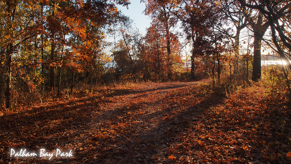 Photo of Pelham Bay Park in New York City, New York, United States - 10 Picture of Point of interest, Establishment, Park